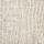 Stanton Carpet: Dreamscape Shell
